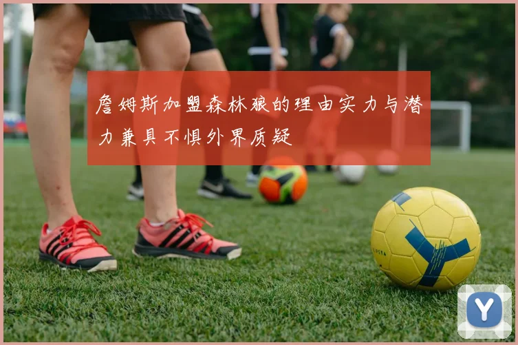 詹姆斯加盟森林狼的理由实力与潜力兼具不惧外界质疑