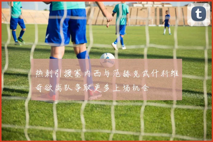 热刺引援塞内西与范赫克武什科维奇欲离队争取更多上场机会